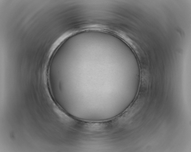 X0000115731474200911121502