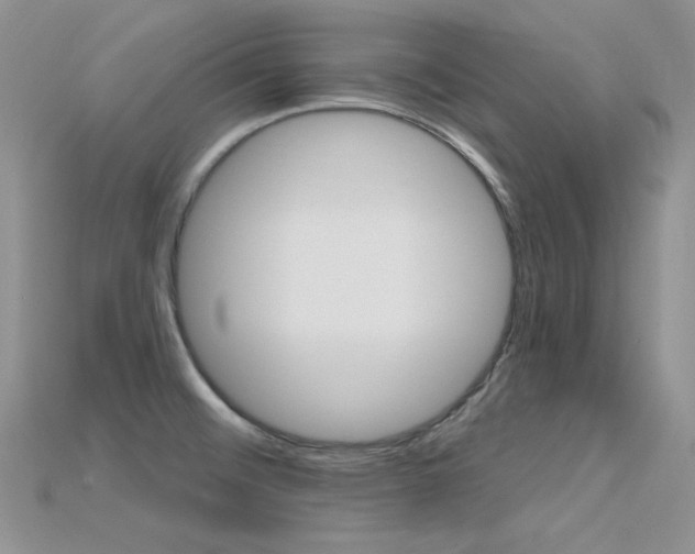 X0000115731476200911121502