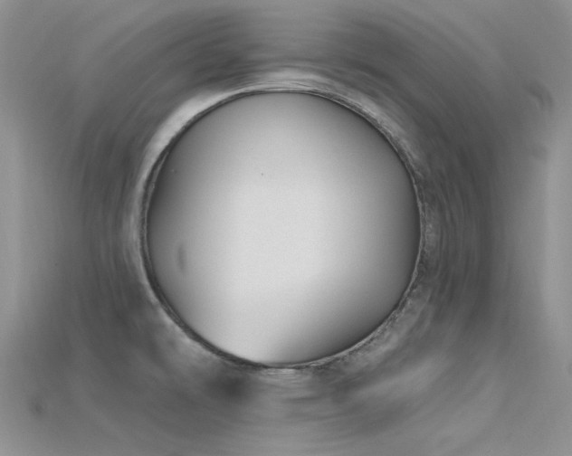X0000115731478200911121502