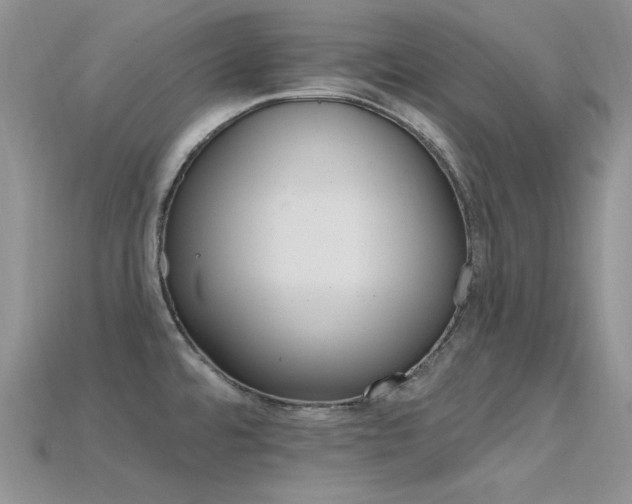 X0000115731480200911121502