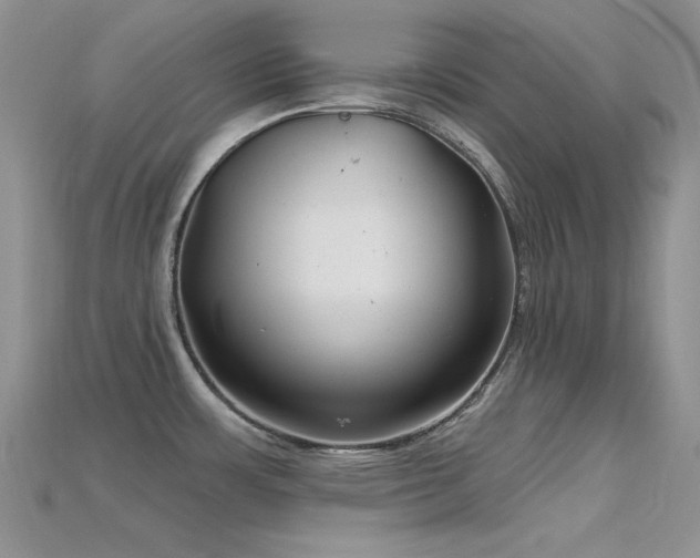 X0000115731483200911121502