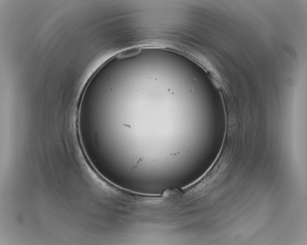 X0000115731484200911121502