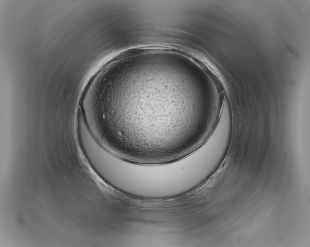 X0000115731485200911121501