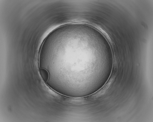 X0000115731486200911121501