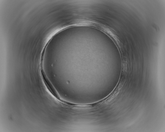 X0000115731487200911121501