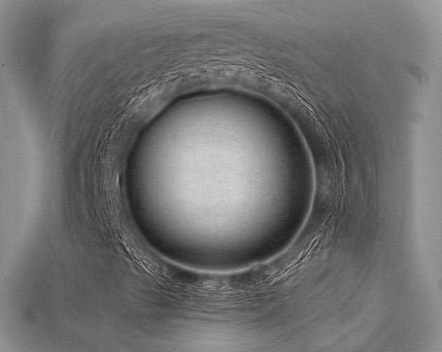 X0000115731489200911121501