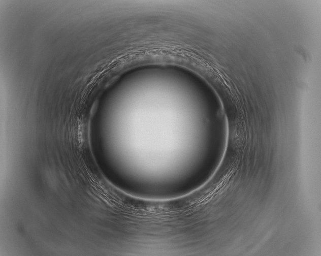 X0000115731490200911121501