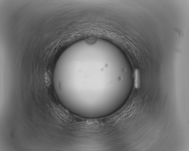 X0000115731491200911121501