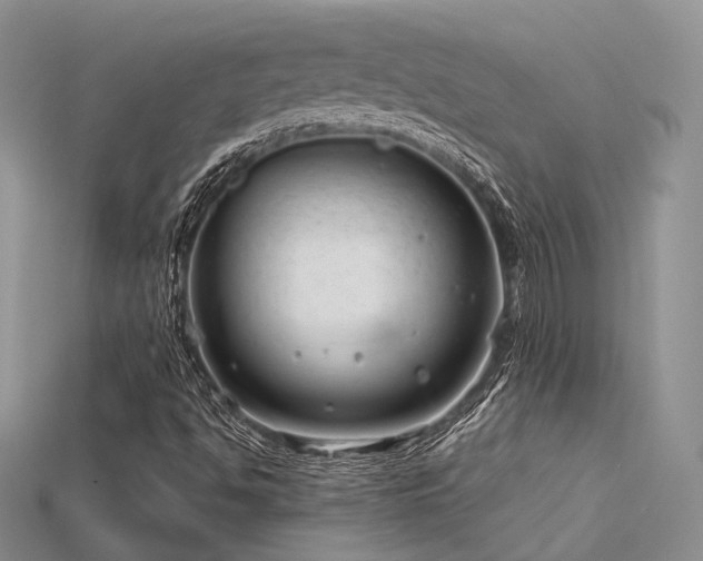 X0000115731494200911121501