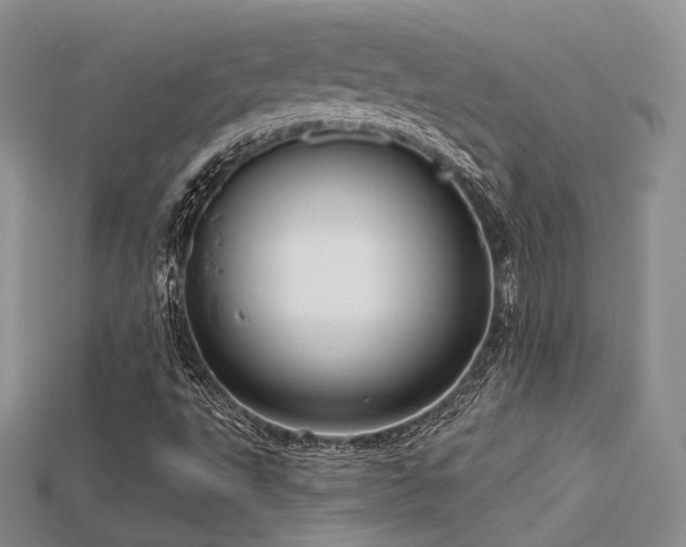 X0000115731495200911121501