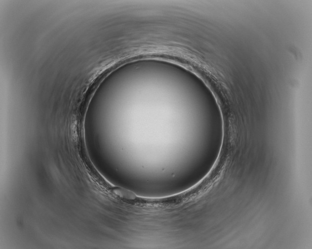 X0000115731497200911121501