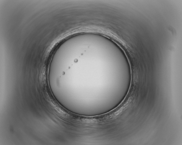 X0000115731498200911121501