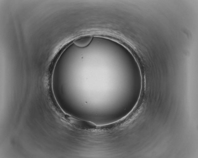 X0000115731501200911121501