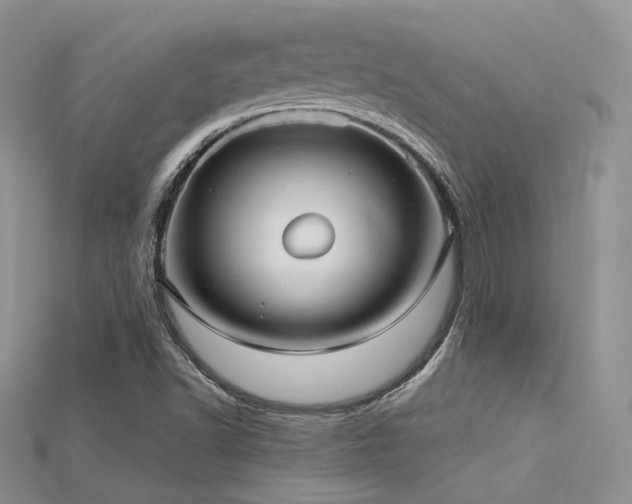 X0000115731502200911121501