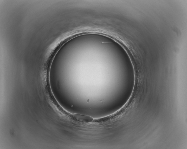 X0000115731503200911121501