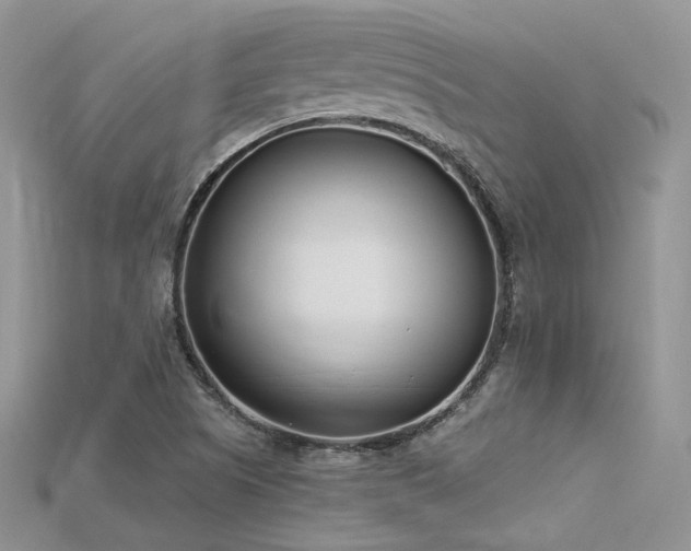 X0000115731505200911121501