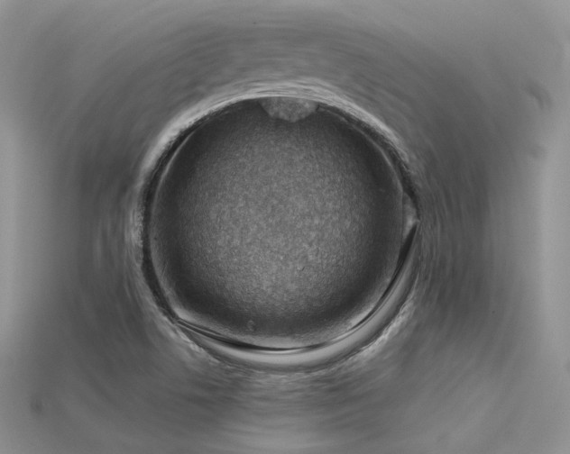 X0000115731506200911121501
