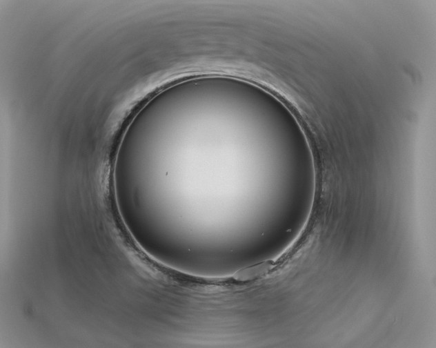 X0000115731507200911121501