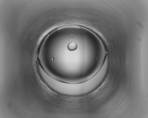 X0000115731510200911121501