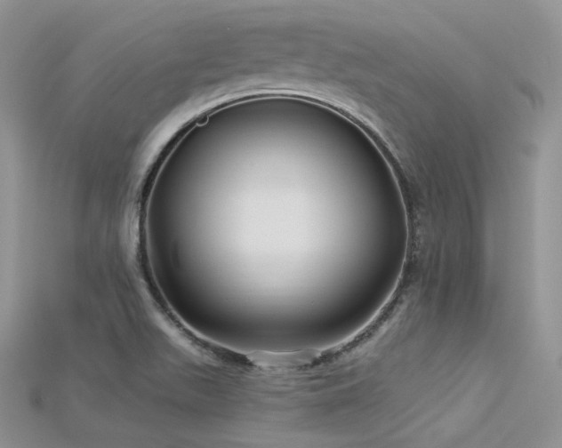 X0000115731511200911121501