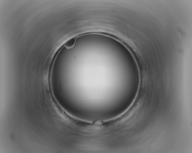 X0000115731513200911121501