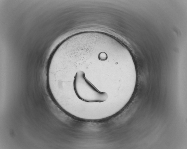 X0000115731514200911121501