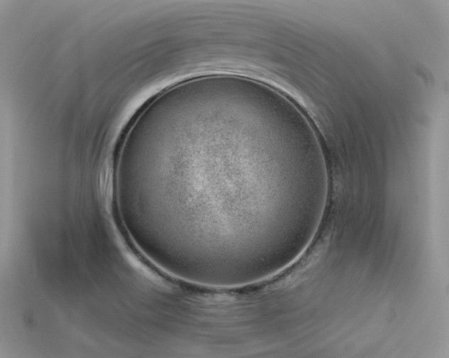 X0000115731515200911121501