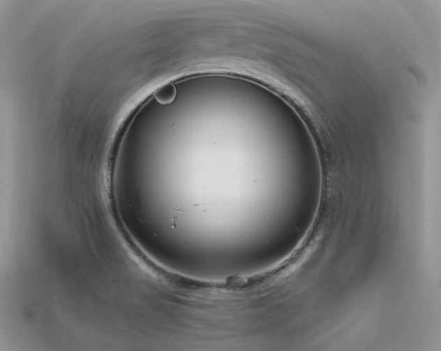 X0000115731517200911121501