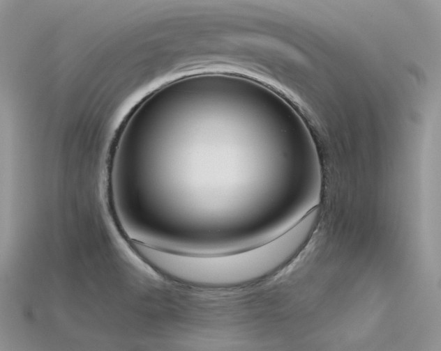 X0000115731518200911121501