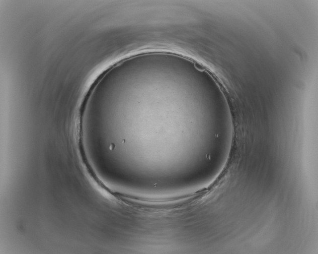 X0000115731519200911121501