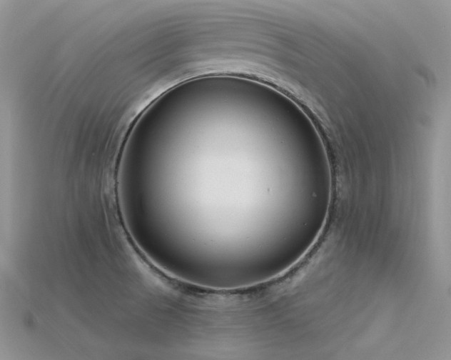 X0000115731521200911121501