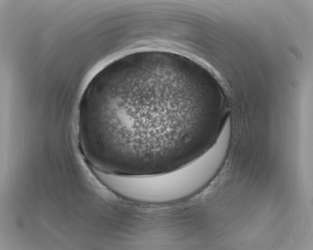 X0000115731522200911121501