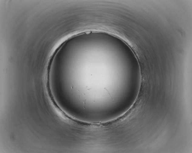 X0000115731523200911121501