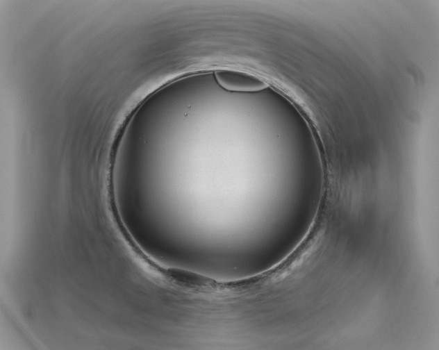X0000115731525200911121501