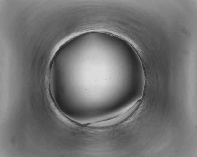 X0000115731526200911121501