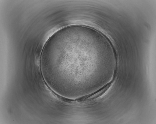 X0000115731529200911121501