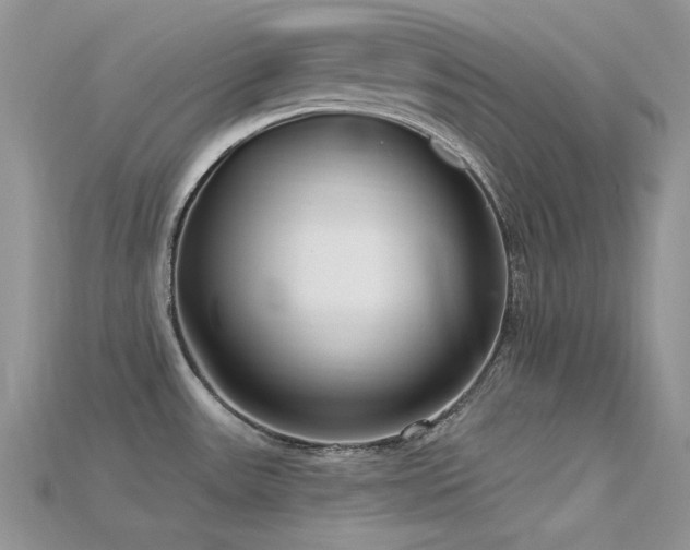 X0000115731531200911121501