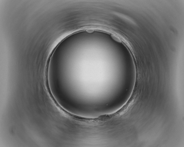 X0000115731533200911121501