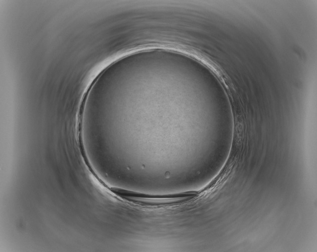 X0000115731535200911121501