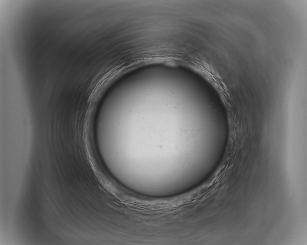 X0000115730001200911191421