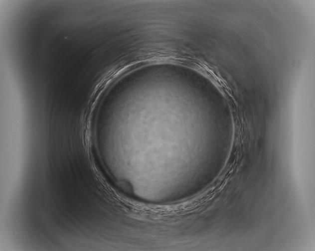 X0000115730002200911191421