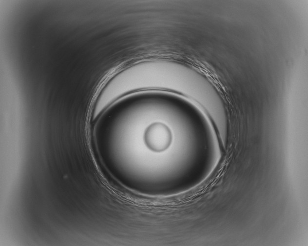 X0000115730003200911191421