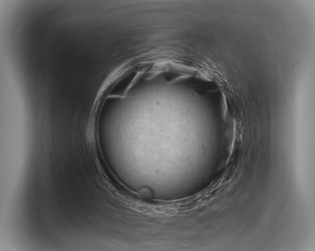 X0000115730004200911191421