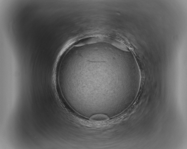 X0000115730006200911191421