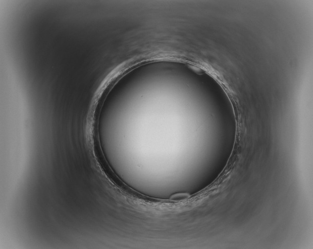 X0000115730007200911191421