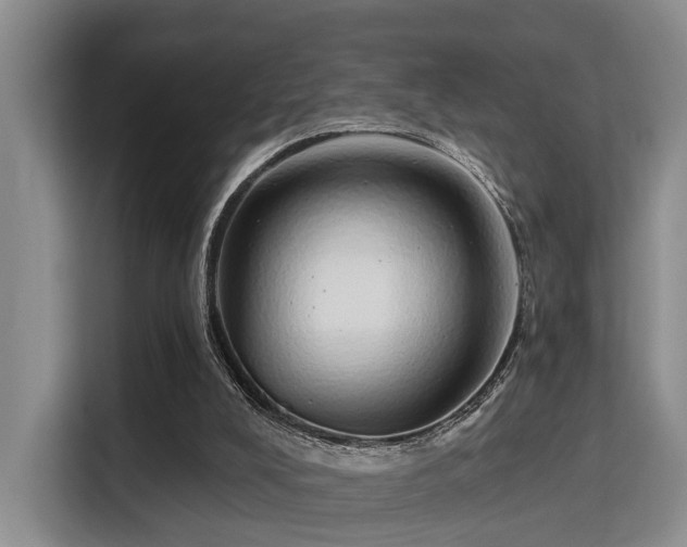 X0000115730008200911191421