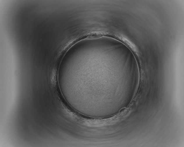 X0000115730009200911191421