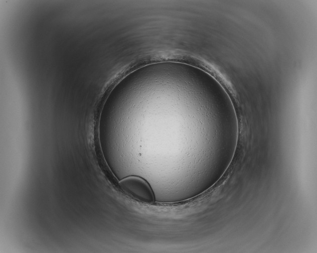 X0000115730010200911191421