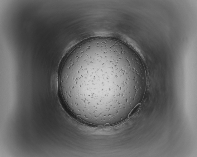 X0000115730011200911191421