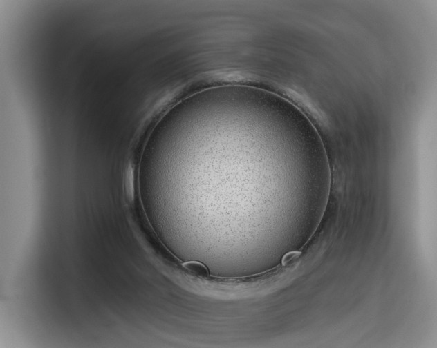 X0000115730014200911191421